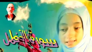 سورة النمل هبة الله رمضان 