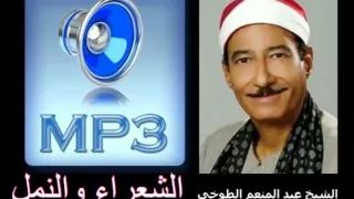 الشعراء والنمل الشيخ عبد المنعم الطوخي 