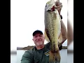 Shut Up and Fish