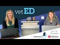Veterinarian-Approved Tips to Prevent Your Pet from Getting Lost