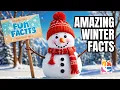 Fun Facts About Winter Educational for Kids Teachers