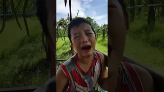                 دندنها