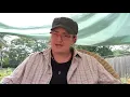Intro from Ali - Script Analysis The Queen s Gambit