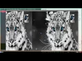 Shift picture python opencv