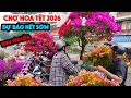 Lagu Tưng Bừng Chợ Hoa Tết Sài Gòn 2026 Dự Kiến Cháy Hàng Hoa Hết Sớm Hơn Mọi Năm