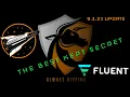 FLNT - THE BEST KEPT SECRET ON THE MARKET