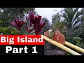 Big Island Hawaii Food and Adventure Day 1 Teshima Restaurant Honaunau Poke Shop Airbnb Tour