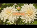 Download Lagu Ez nem egy szokványos kapcsolat   😯🎁❓   #soulmate #tarot