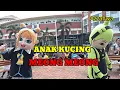 BADUT JOGET ASIK LAGU ANAK KUCING MEONG MEONG