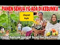 Download Lagu PANEN PERDANA TOMAT\u0026STRAWBERRY ,TIMUN DLL DAPAT BANYAK SETELAH LIBURAN ,BUAT IBU BARCELONA  ‼️