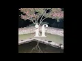 [Audio] 페노메코 - 세뇨리따 (Feat. 나플라), PENOMECO - Senorita (Feat. nafla)