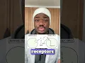 Promethazine Explained