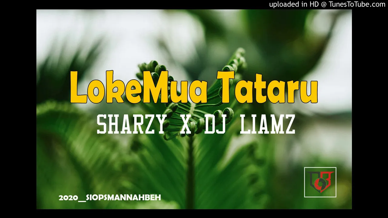 LokeMua Tataru  - Sharzy x DJ Liamz 2020