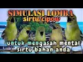 simulasi lomba sirtu/cipoh untuk merangsang mental sirtu muda agar menjadi lebih fighter