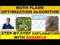 Learn Moth Flame Optimization Algorithm with Example xRay Pixy