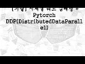 DH Pytorch DDP DistributedDataParallel