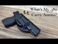 What s My 380 Carry Ammo S W Bodyguard 2 0 Glock 42 Ruger LCP Max