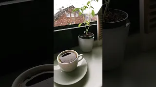 فيروز رجعت الشتوية 