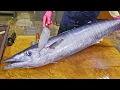 Download Lagu Oceaanvallen! Naaldvis en koningsvis vangen met vaste netten, Wahoo-vis snijden