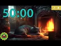 50 Minute Timer COZY CAT RELAXING with Music and Alarm