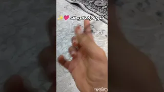 شرح حركة الربطه اتمنى يجيب دعم اكسبلور ترند Funny بدون موسيقى 