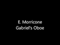 Gabriel's Oboe - E. Morricone (Pipe Organ) @Alessandro-vw7td