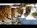 iLoveMakonnen - Jag Ft. LuiDiamonds