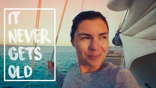 Sailing with Unexpected Visitors | Sailing Atlantic France Ep 138