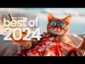 Download Lagu Top 50 No Copyright Songs 2024 – Free from Audio Library