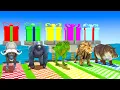Download Lagu Long Slide Game With Cow Elephant Gorilla Hippopotamus Tiger - 3d Animal Game - Funny 3d Animals