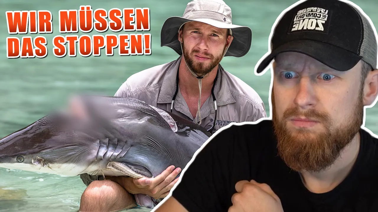 WICHTIGES VIDEO: Robert & die Haie brauchen unsere Stimme | Fritz Meinecke