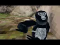 Gorilla Tag Gameplay No Commentary