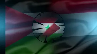 فلسطين اللهم لا حسد                  دندنها