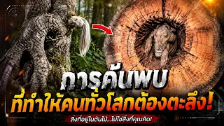 การค้นพบที่ทำให้....คนทั่วโลกต้องตะลึง