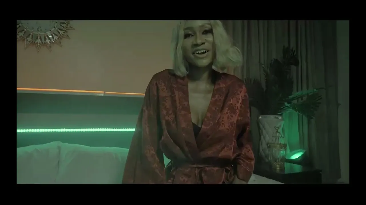 Cinematographer / Editor / Colorist