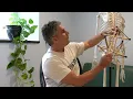 Therapeutic Massage Company - Dover NH 603 740-2979