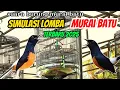 Download Lagu SUARA BURUNG MURAI BATU | SIMULASI LOMBA MURAI BATU YERBARU 2025 , menaikan emosi