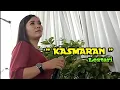 Download Lagu KASMARAN - Iga Mawarni || Cover Lestari - LiVE orgen tunggal purwokerto