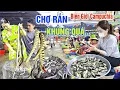 Download Lagu THOT TIM Ở CHỢ RẮN, CHIM CHUỘT CÁ ĐỒNG LỚN NHẤT MIỀN BIÊN GIỚI CAMPUCHIA MÙA NƯỚC NỔI - CHỢ BÀU SẬY