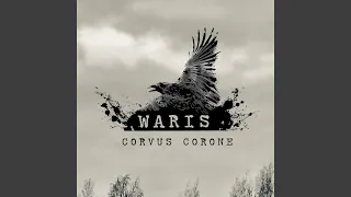 Download Corvus Corone MP3