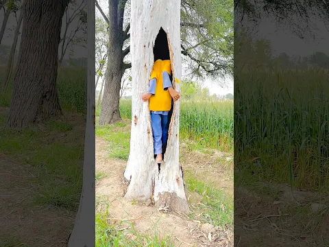 The Tree Secret No One Expected! 🌳🤯