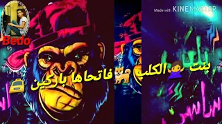 مهرجان بنت الكلب فاتحاها باركين غناء مصطفي الجن 