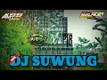 Lagu DJ SUWUNG ASS AUDIO BY BARA MUSIC