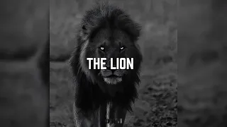 𝘾𝙍𝙔𝙎𝙏4𝙇 𝘿𝘼𝙍𝙆𝙓𝙃𝘼𝙒𝙆 𝙎𝙇𝙊𝙒𝙀𝘿 𝙍𝙀𝙑𝙀𝙍𝘽 𝙏𝙃𝙀 𝙇𝙄𝙊𝙉 