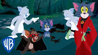 tom u0026 jerry trick or treat wb kids