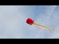 50th Annual Great Delaware Kite Festival