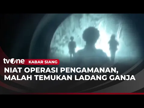 Satgas Operasi Damai Cartenz Temukan Ladang Ganja di Pegunungan Bintang Papua