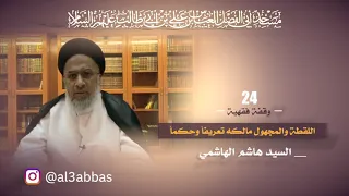 اللقطة والمجهول مالكه تعريفاً وحكماً - السيد هاشم الهاشمي