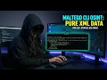 Maltego Pure Terminal Output Write Custom OSINT Transforms in Python