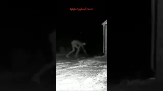 ضهور وحش الطنطل في الحقيقة 